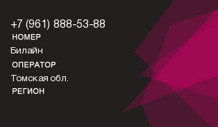 9618885388